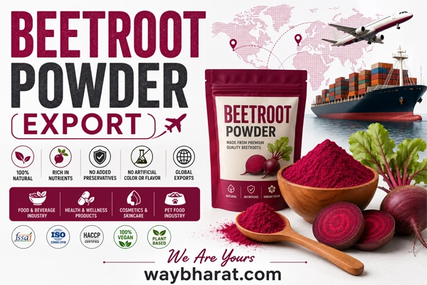 Beetroot powder export from India: Global market, benefits & business opportunities