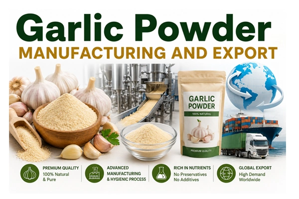 Garlic powder manufacturing and export: A complete guide for entrepreneurs