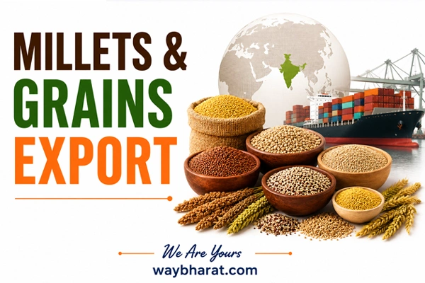 Millets & Grains Export from India: A Category Guide