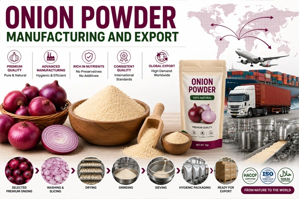 Onion powder manufacturing and export: A complete guide for entrepreneurs