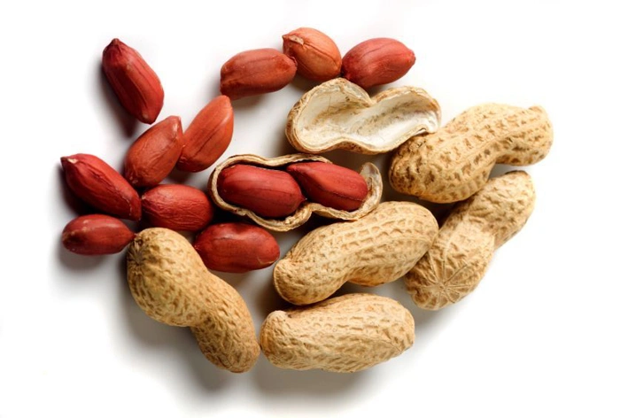 Groundnuts