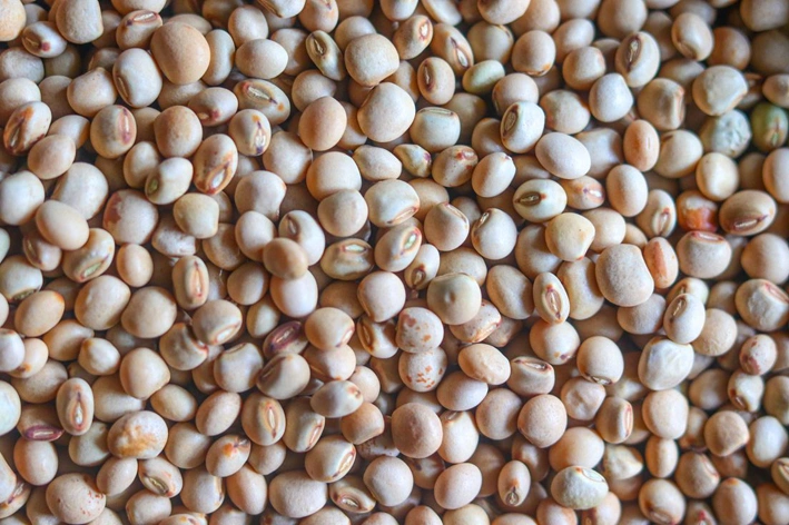 Pigeon Peas