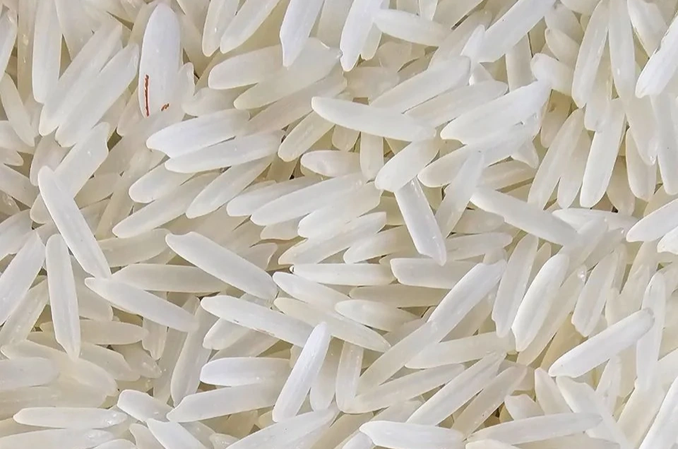 Traditional Basmati Raw