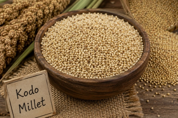 Kodo Millet (Varagu)